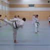 Taekwondo Training